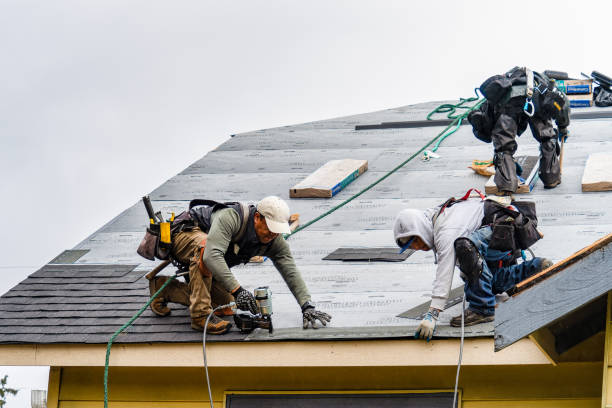 Professional Emergency Roof Repair technician working in Roxbury, MA